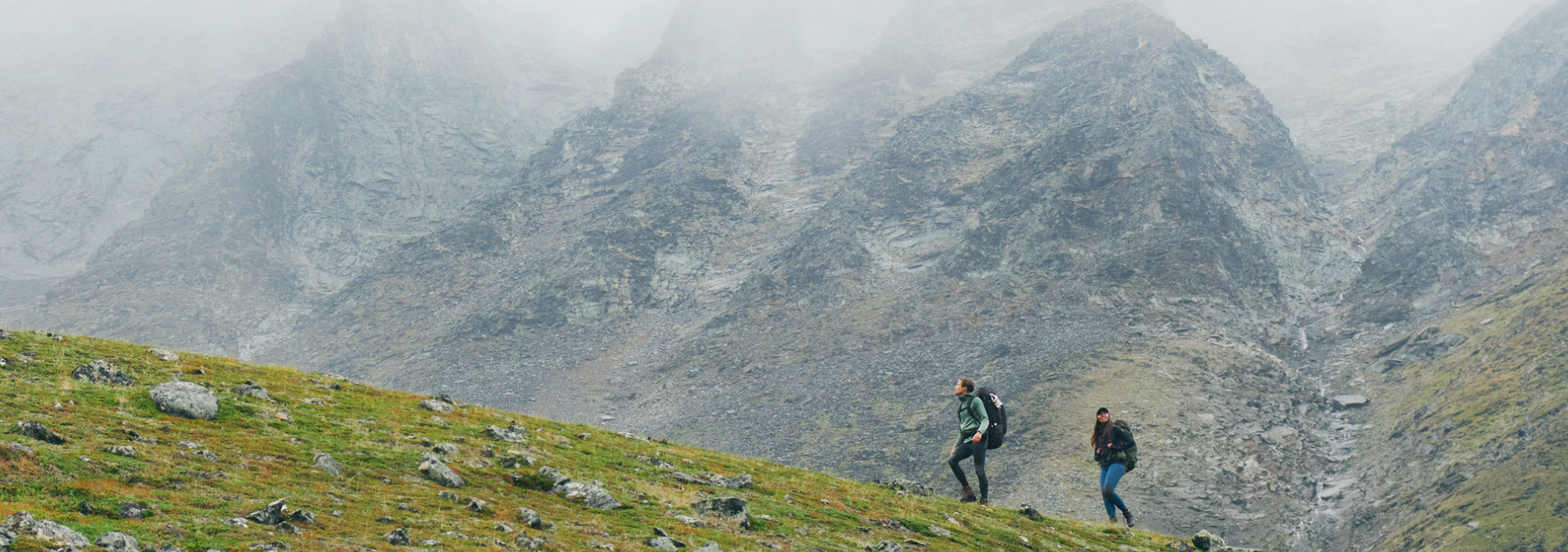 기획전 상단 이미지